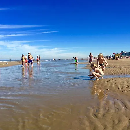 Reumann Apartments: De Schelp * זנדוורט