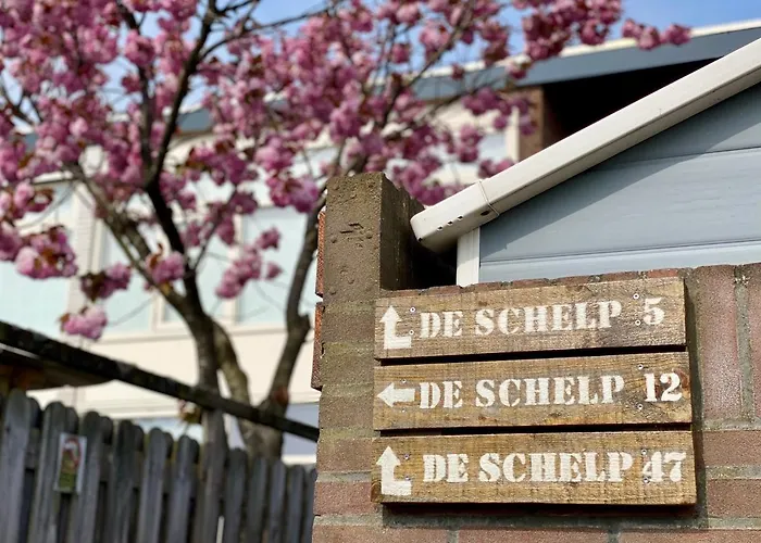 Reumann De Schelp 5 * Zandvoort