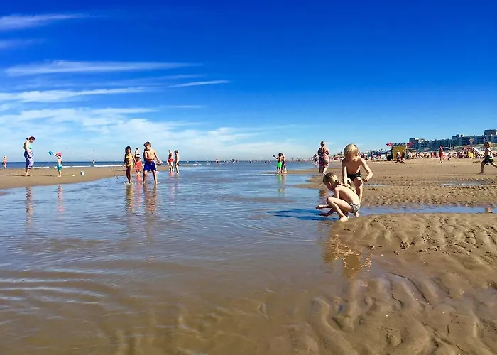 Reumann De Schelp 5 * Zandvoort