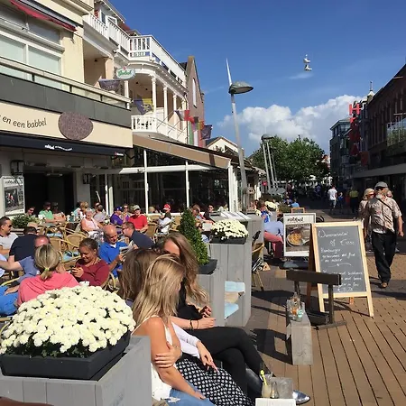 Reumann Apartments: De Schelp * Zandvoort