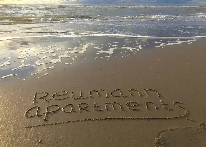 Reumann De Schelp 5 شقة زاندفورت