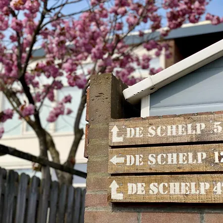 Reumann Apartments: De Schelp * Zandvoort