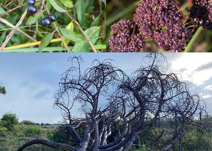 Appartement Reumann De Schelp 5 *